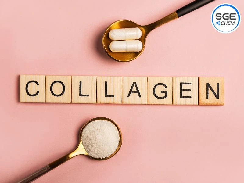 Collagen06